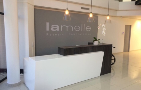 4 – Lamelle